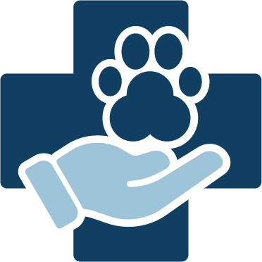 Wellness Care Icon Wellness Care Icon