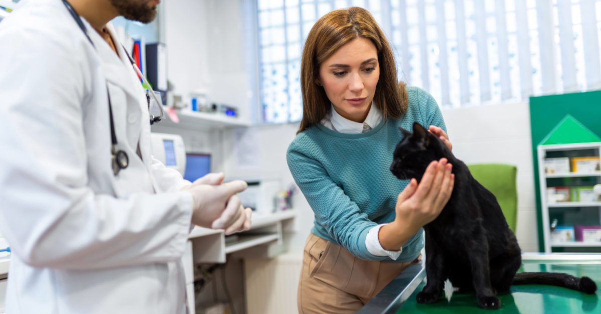female owner holding cat during appointment with male vet