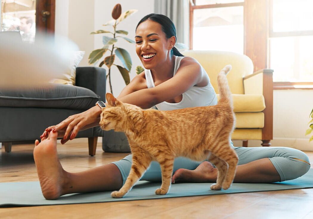 Cat And Woman Doing Yoga Cat And Woman Doing Yoga